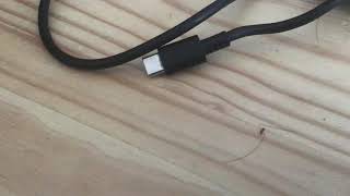 3 months later I will retire from YouTube and deviantart tho.