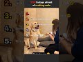 TOP 5 dogs cutting nails🤣🤪❤️#funny#petsrule#pets#doglife #cutedog#animallife#doglife#animals#meme