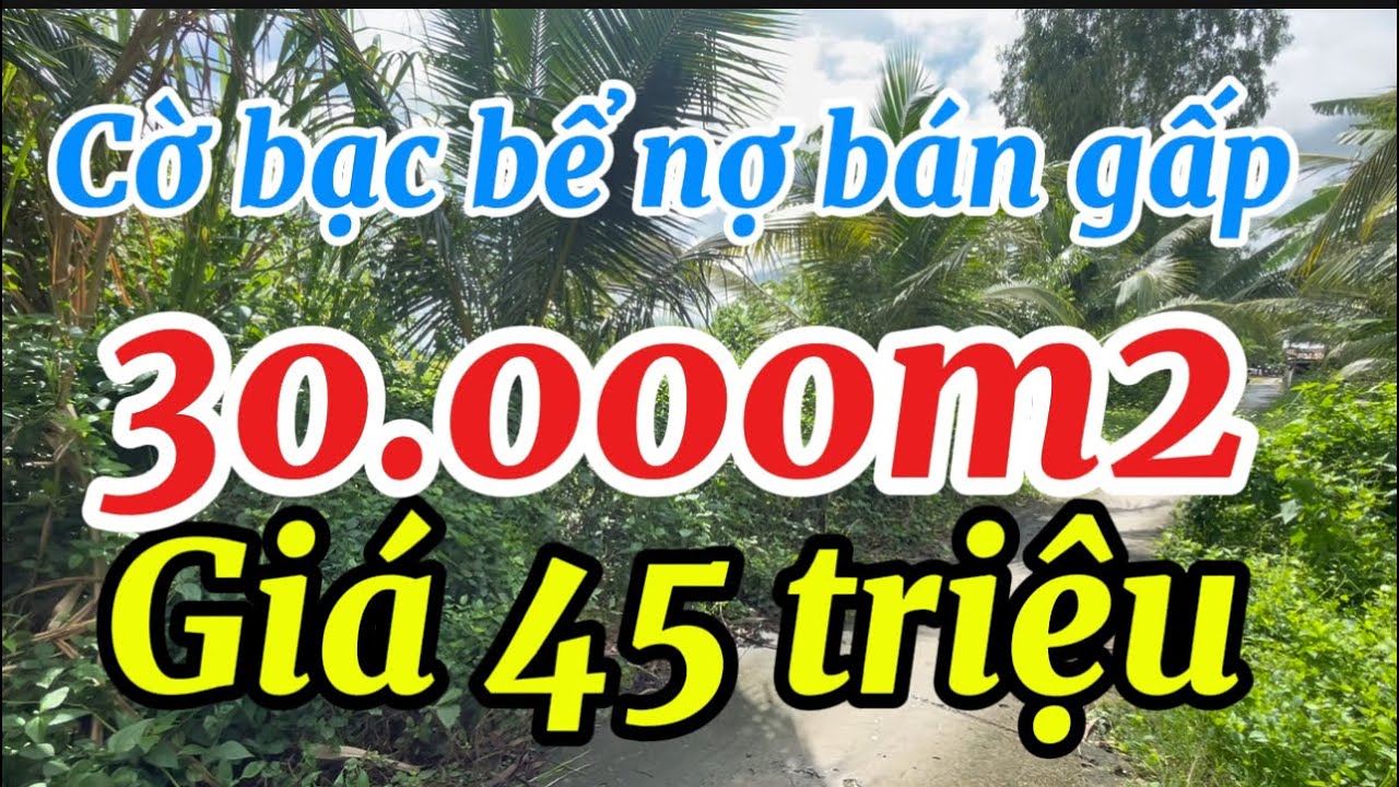 Cờ bạc bể nợ bán gấp 30.000m2 đất ruộng mặt tiền đường dal giá 45 triệu/1000m2 thành phố cần thơ
