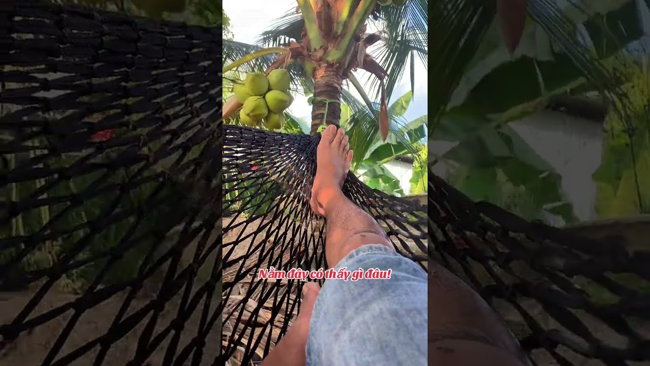 Nằm đây có thấy gì đâu!