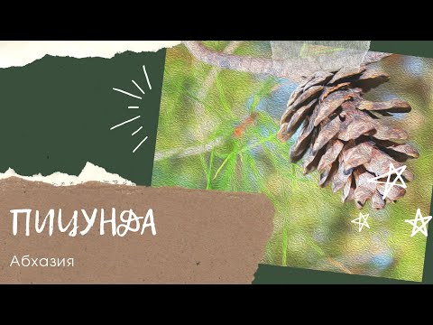 Абхазия | Пицунда | Лечебный курорт | Аквапарк Пицунда | Отдых с детьми в Пицунде | Целебный воздух