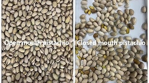 Open and closed pistachio sorter