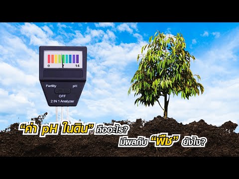 วีดีโอ: ทำไมค่า pH ในดินจึงมีความสำคัญมาก?