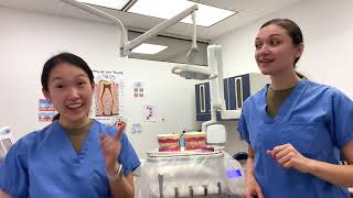 National Childrens Dental Health Month 66 Mds