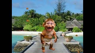 Baby Monkey Farttts for the First Time!His Reaction is Everything 🤠  Wealth