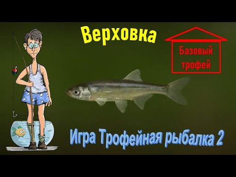 Video: Kako Igrati Fish Place 2