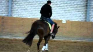 bilder highly 004.AVI