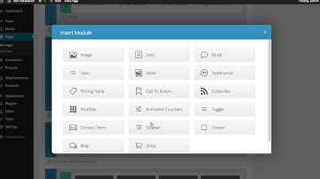 Using The Testimonials Module In Divi