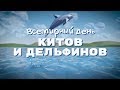 Всемирный день китов и дельфинов