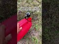 БЕНЗИН НЫНЧЕ ДОРОГ.... #комментарии #юмор #мемас #прикол #мемы #мем