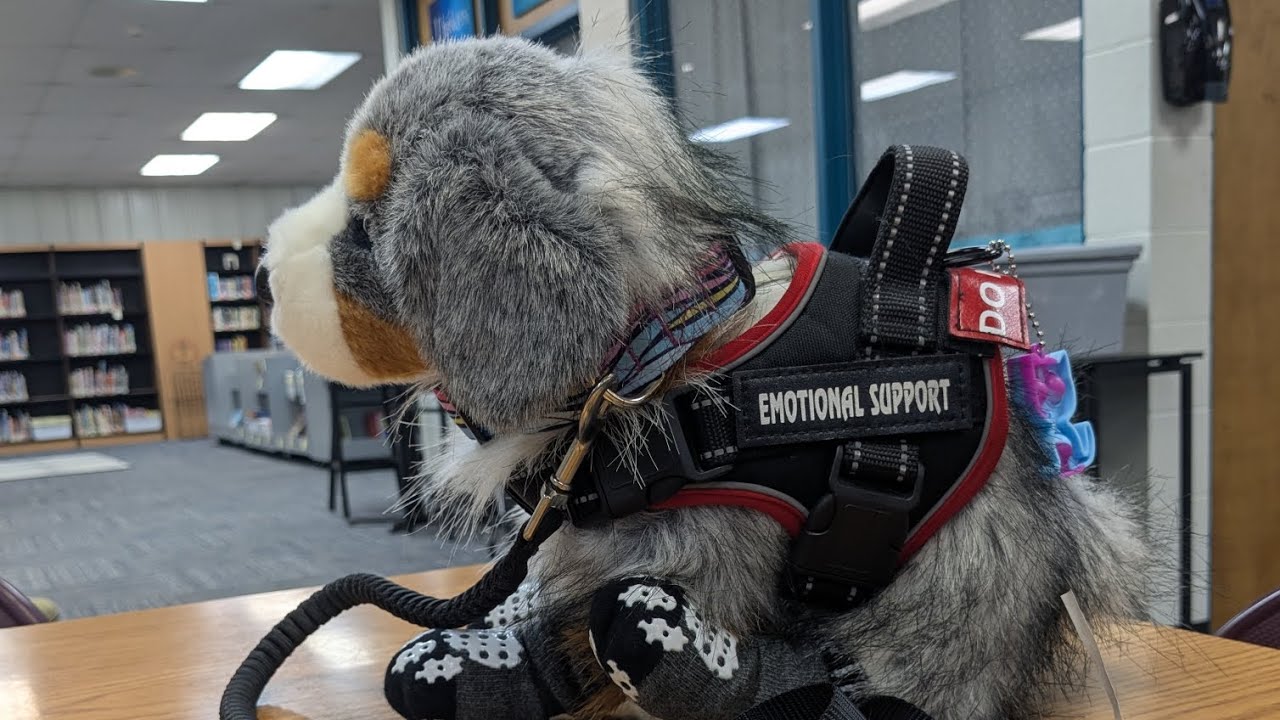 Day in the life of an ESSA handler! 