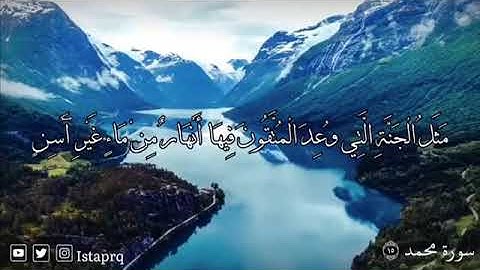 سورة محمد