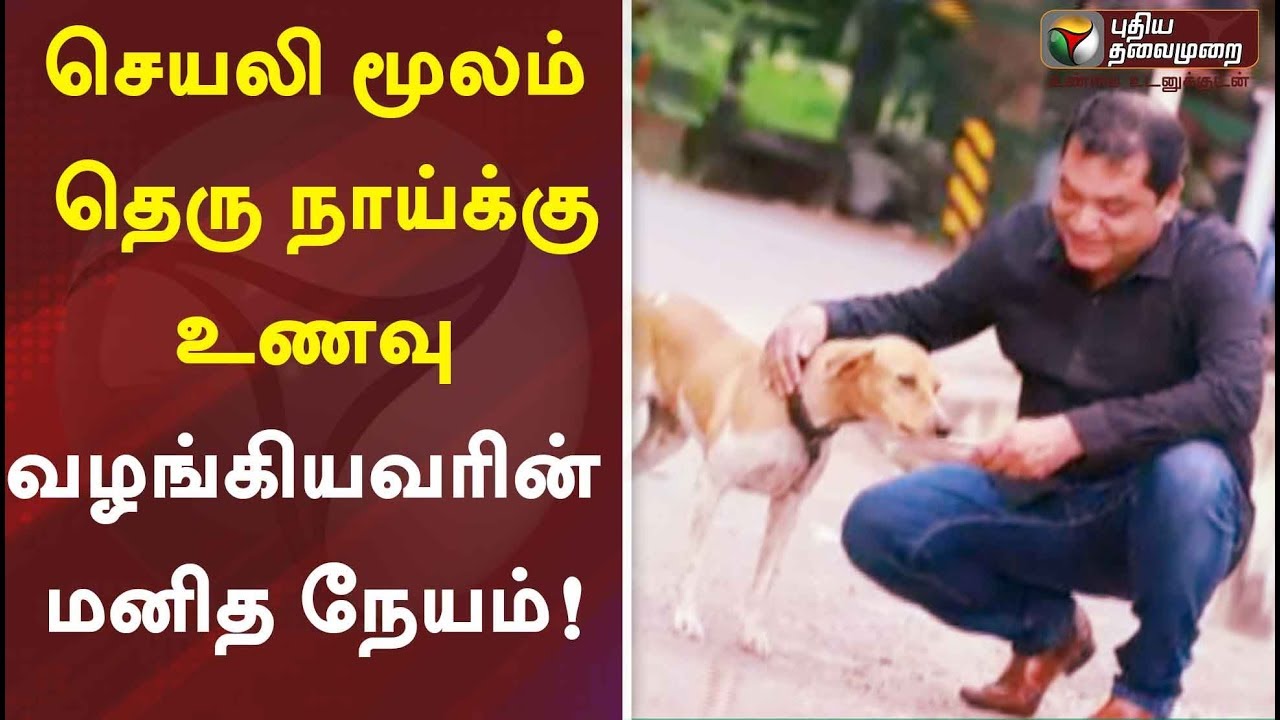 live tamil news 7 tv channels செயலி மூலம் தெரு நாய்க்கு உணவு வழங்கியவரின் மனித நேயம்: குவியும் பாராட்டுகள் | Kerala