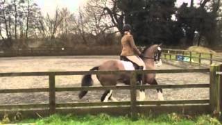 Lexie novice 28 Reaseheath 31.1.16