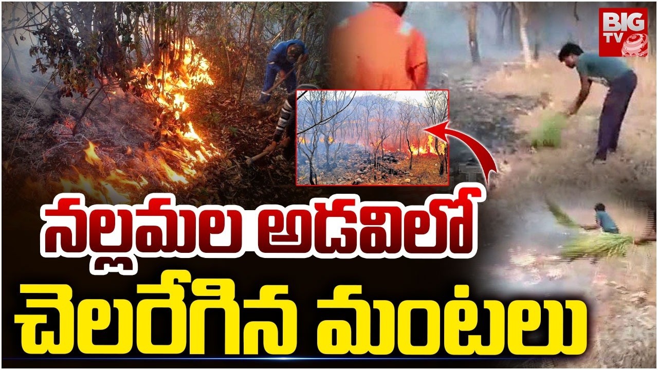 Massive Fire Breaks Out at Nallamala Forest | నల్లమల అడవిలో చెలరేగిన మంటలు | Brahmagiri Range |BIGTV