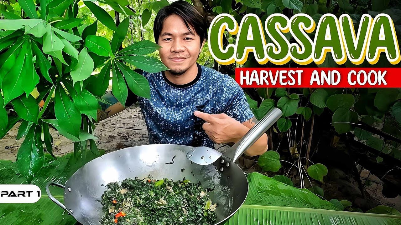 P1-Pag May Itinanim, May Aanihin - EP1093