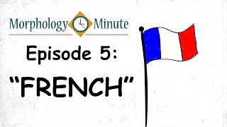 Morphology Minute Episode 5