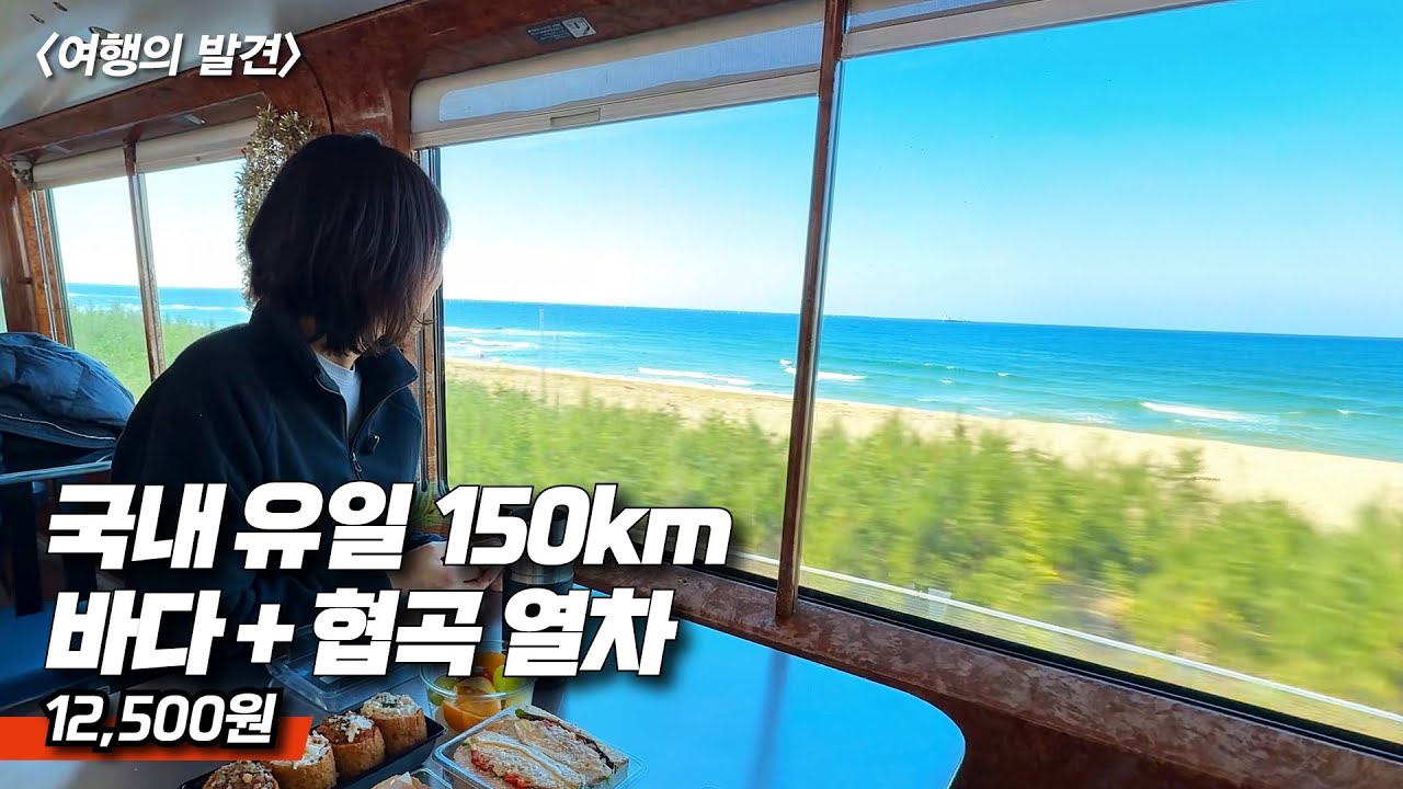 🚅 서울에서 2시간! 바다→협곡 이 기차 아니면 못 가요!! - 33만명 방문하는 크리스마스 비밀 마을 | 📸 대중교통 당일치기 여행