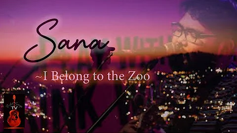 I Belong to the Zoo- "Sana" (Lyrics and Guitar Chords)