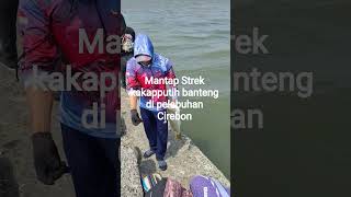 pelabuhan Cirebon kakap banteng nya naik lagi mantap#amazon #fishing #kakapbabon #cirebon #pelabuhan