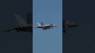 Low And Loud. Growler Roaring Past For A Go-Around.