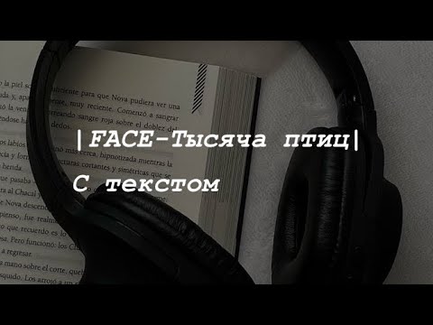 | FACE-Тысяча птиц🕊| С текстом 🔤 |