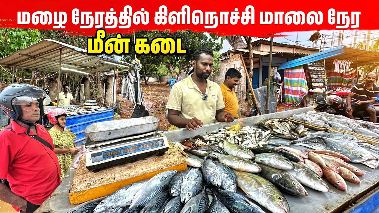 கிளிநொச்சி மாலை நேர தெரு மீன் வியாபார கடைகள் | Kilinochchi Evening Fish Market 