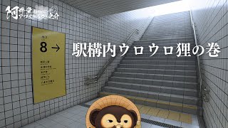 駅構内ウロウロ狸の巻（８番出口）