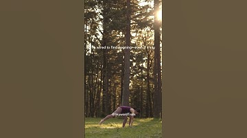 "Finding Meaning in an Indifferent Universe 🌠💥 #LifeMeaning #CreateYourPurpose  #hiking