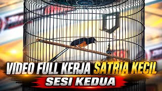 Sesi Kedua Murai Batu Satria Kecil Kelas POKEMON SMM Feat Randy Avatar‼️