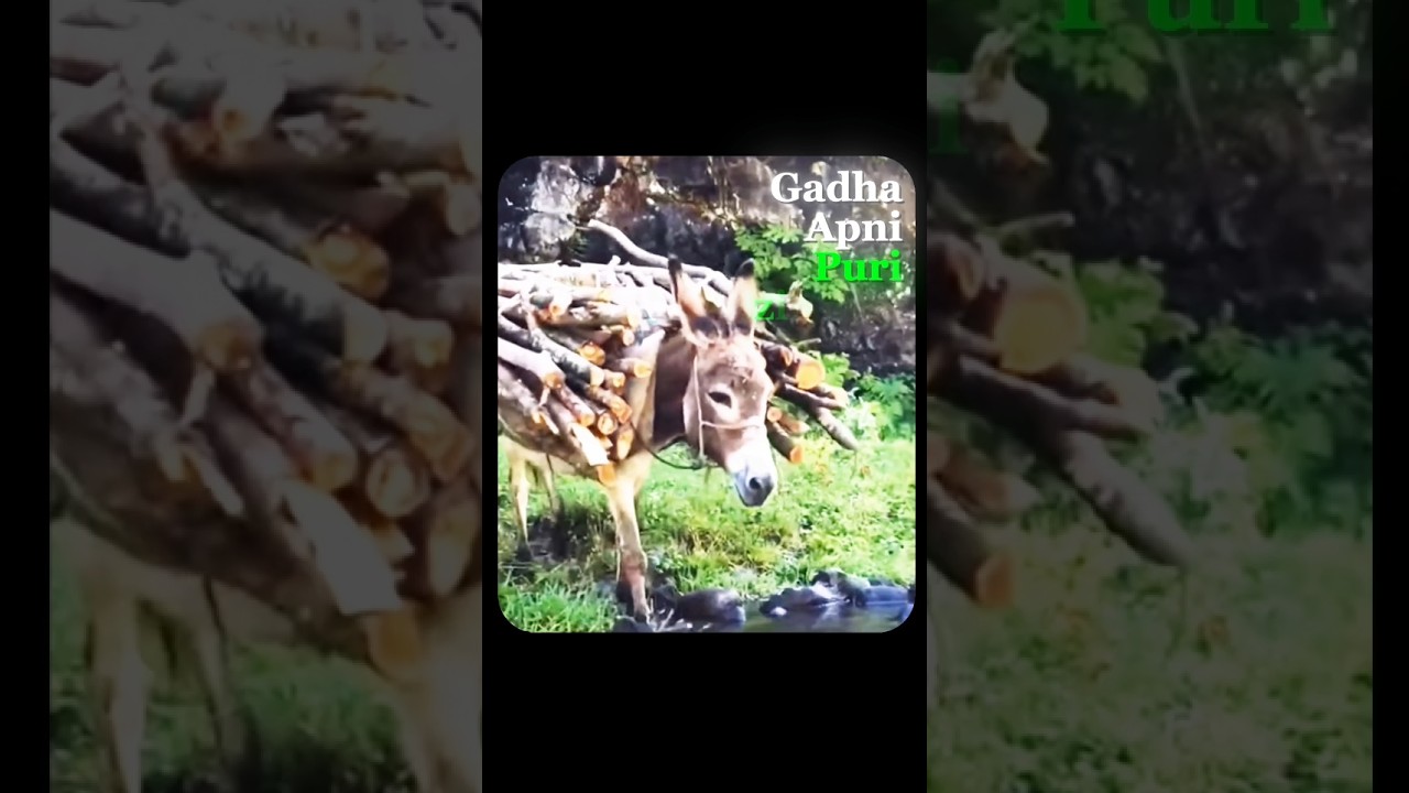 Right Direction Matters More Than Hard Work