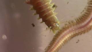 SANY0070.MP4