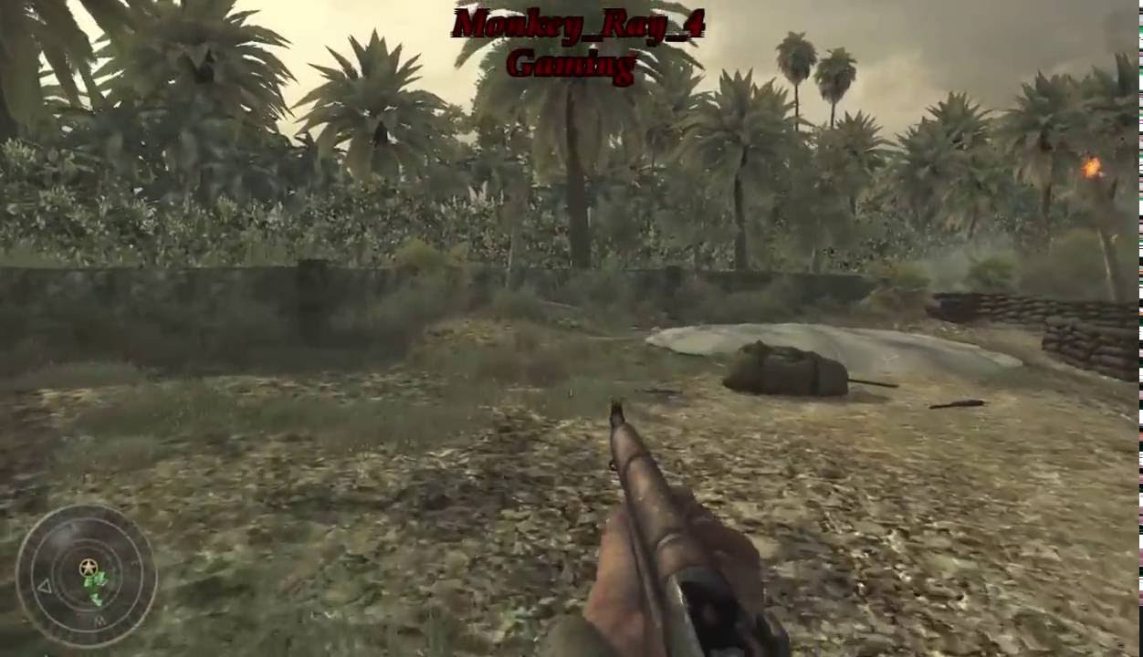 THEY'RE GONE! ROEBUCK GOT KILLED! | Call of Duty World at War ...