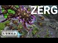 StarCraft 2: Zerg in REAL SCALE!