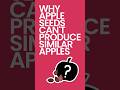 Why Apple Seeds Can't Produce Similar Apples