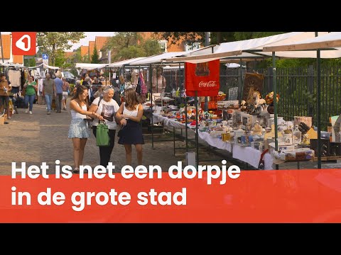 18e editie Pathmos Zomerfeest in Enschede: ‘Dit is de allerleukste markt van Enschede’