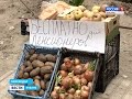 В Краснодаре пенсионерам бесплатно раздают продукты и хлеб