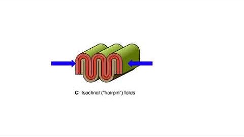 Types of Folds