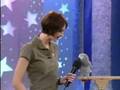  einstein the famous talking african grey parrot 