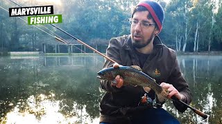 Fishing Marysville Victoria | Alpine trout and redfin fishing
