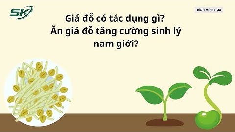 Tác dụng của giá đỗ SẠCH đối với sinh lý nam giới!