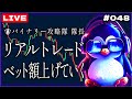 【バイナリー】ロウソク足の極意