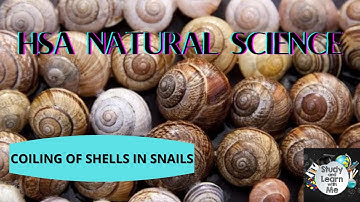 HSA NATURAL SCIENCE-COILING OF SHELLS IN SNAIL