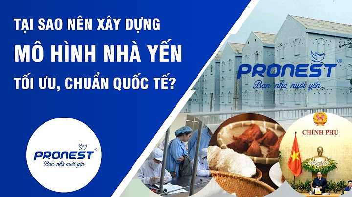 Đánh giá thiết bị nhà yến pronest có tốt không năm 2024