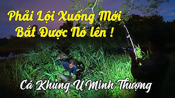Kỷ Lục !!! Con Cá Tra Khủng Nhất Rừng U Minh Thượng Của 3 AE Bắt Được ! | Tập 30