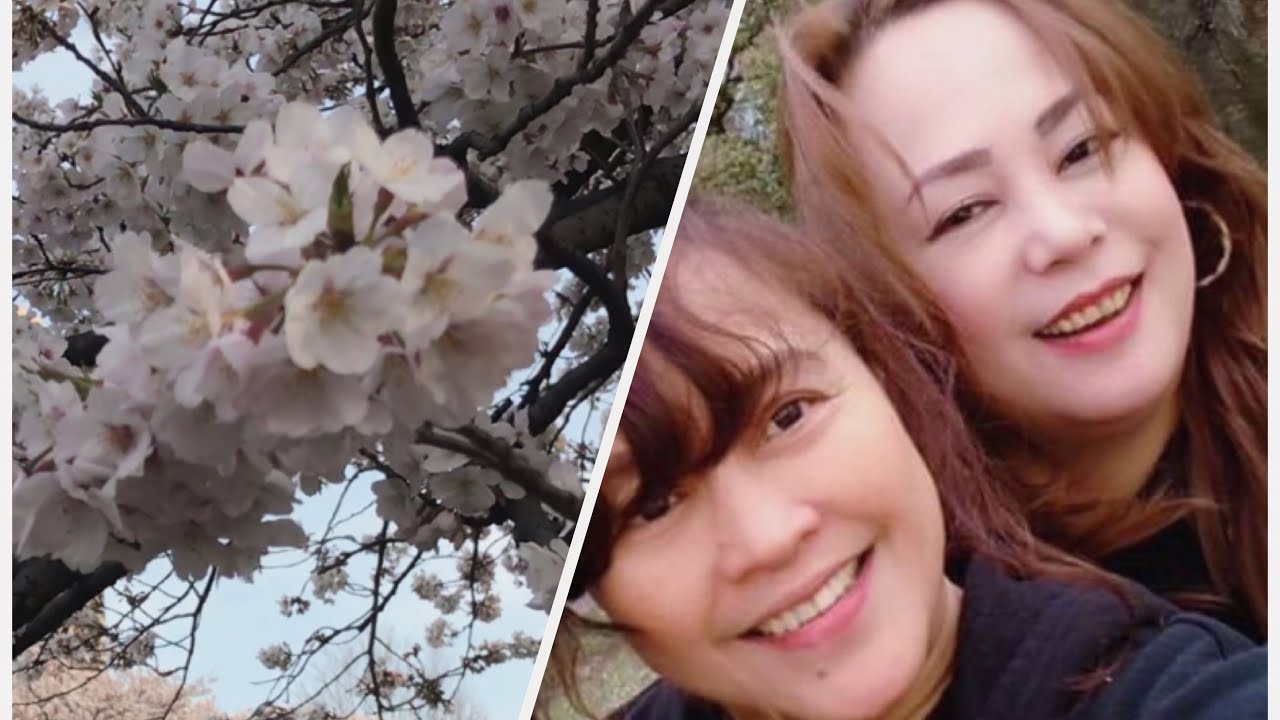 Cherry Blossoms 2021 Sumiyoshi Park Japan