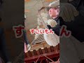 階段の往復はしんどすぎる🫠…