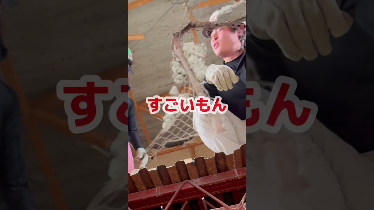 階段の往復はしんどすぎる🫠…