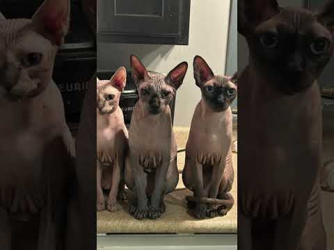 And With That The 2024 Season Comes To An End Goodbye2024 Hello2025 2024 2025