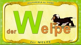 Multipedia der Tiere. Buchstabe W - der Welpe